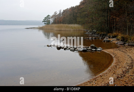 Herbstfarben am See Stockfoto