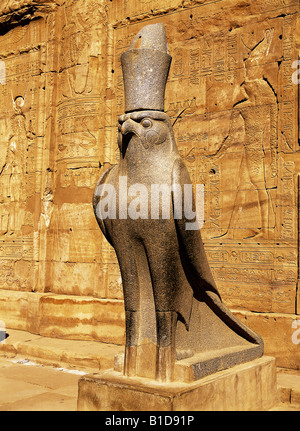 Falken von Horus am Tempel des Horus-Edfu-Luxor-Ägypten Stockfoto