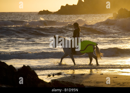 Frau Reiten am Strand mit stürmischer See Treaddur Bay Anglesey Stockfoto