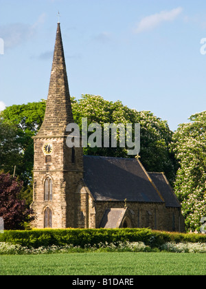 Land der St Marks in Amcotts, North Lincolnshire, England, UK Stockfoto