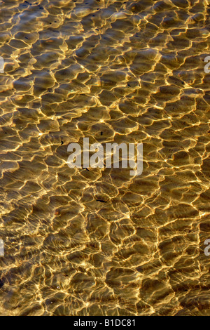 Herbst Licht spielt auf der Wasseroberfläche Stockfoto