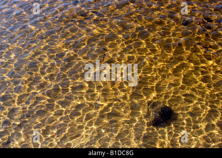 Herbst Licht spielt auf der Wasseroberfläche Stockfoto