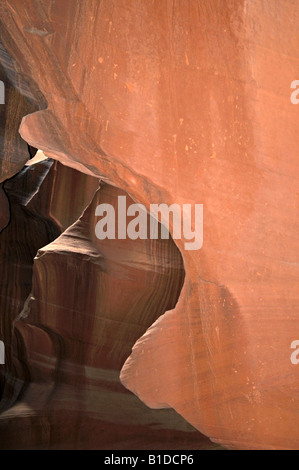 Adler im Flug Bildung im Antelope Slot Canyon, Navajo Tribal Lands, Page, Arizona USA Stockfoto