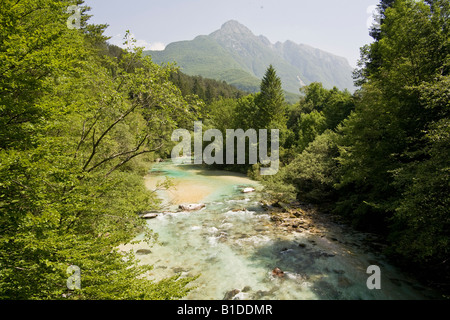 Der Fluss Soca im Triglav, Kobarid, Slowenien Stockfoto