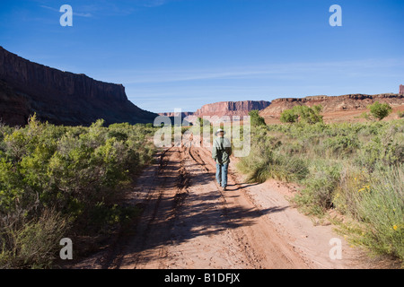 Einsame weibliche Wanderer, White Rim Trail, Canyonlands National Park, Utah. Stockfoto