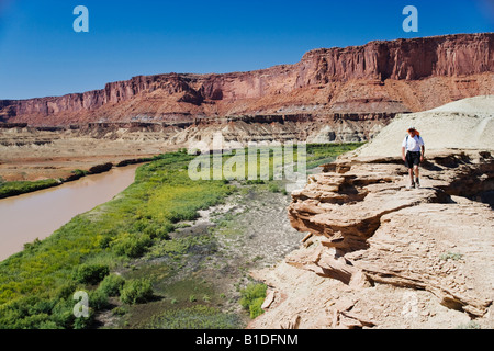 Einsame männliche Wanderer mit dem grünen Fluss unten, White Rim Trail, Canyonlands National Park, Utah. Stockfoto