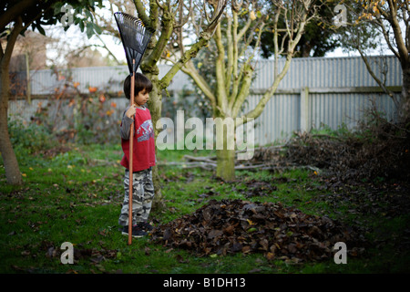 Jungen im Alter von sechs Rechen Blätter im Garten Stockfoto