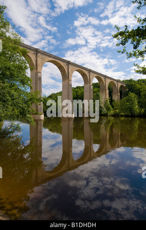 Alte Eisenbahnviadukt wider im Fluss Creuse, Le Blanc, Indre, Frankreich. Stockfoto