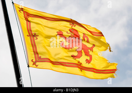 Eine schottische Lion Rampant Fahne weht im Wind. Die Flagge repräsentiert die Länder königliches Erbe. Stockfoto