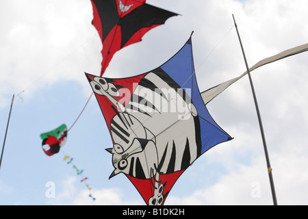 Katze geformt Kite am Blackheath Kite Festival Lewisham London Stockfoto