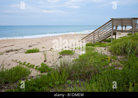 Zugang zum privaten Strand am Atlantik in New Smyrna Beach Stockfoto