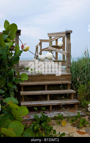 Zugang zum privaten Strand am Atlantik in New Smyrna Beach, Florida Stockfoto