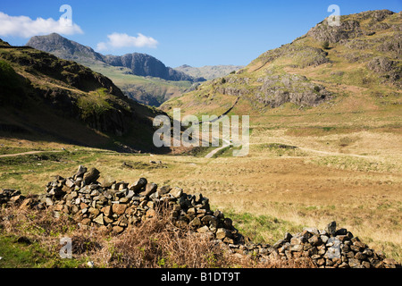 Die "Langdale Pikes" In der Ferne als angesehen von Blea Tarn Fußweg, der "Lake District" Cumbria England UK Stockfoto