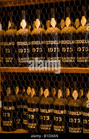 Dh Adegas de Sao Francisco FUNCHAL MADEIRA Madeira Wine Lodge mit stark beanspruchten Flaschen vintage Keller alte blandy Museum Stockfoto
