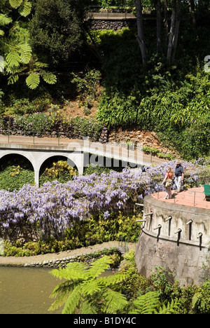 Dh der tropische Garten Monte Palace MONTE MADEIRA Tourist auf Garten vista Balkon Teich Gärten Stockfoto