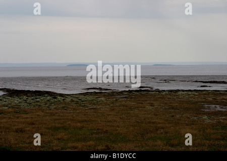 Newport Feuchtgebiete Nature Reserve und Visitor Centre Gwent Ebenen Newport Stockfoto