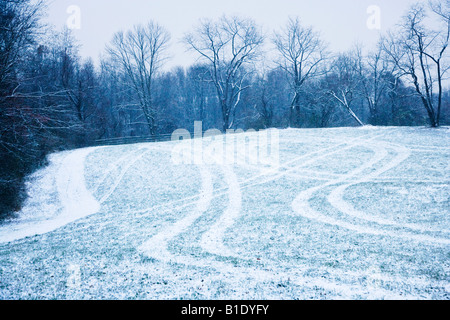 Neuschnee decken Felder Bäume in Pennsbury Township Park Traktorspuren verlassen Muster in die Felder. Stockfoto