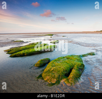 Bei Ebbe am Strand von Westward Ho! Devon England Stockfoto