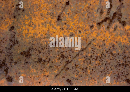 Kratzer auf Goldgrund mit dunklen Rost aus Alter zeigt durch orange metallic Stockfoto