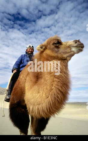 Nomade auf seinem baktrischen Kamel an den Dünen des Khongoryn Els in der Gobi Wüste in der äußeren Mongolei. Stockfoto