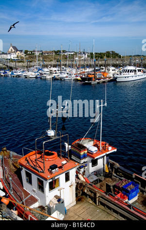 Kilmore Quay Wexford Ireland Stockfoto