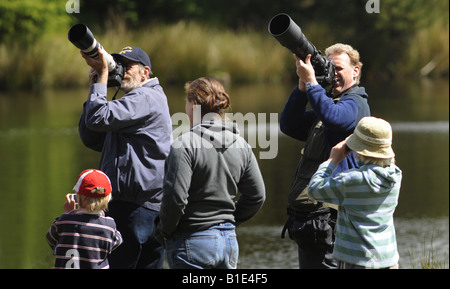 WILDLIFE-FOTOGRAFEN BEI BWLCH NANT YR ARIAN VISITOR CENTER IN RHEIDOL WALD, CAMBRIAN MOUNTAINS MITTE WALES, GROßBRITANNIEN. Stockfoto