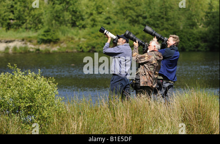 WILDLIFE-FOTOGRAFEN BEI BWLCH NANT YR ARIAN VISITOR CENTER IN RHEIDOL WALD, CAMBRIAN MOUNTAINS MITTE WALES, GROßBRITANNIEN. Stockfoto