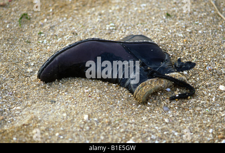 Alte schwarze Stiefel in den Sand am Strand. Stockfoto