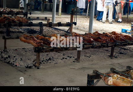 Schweine Braten auf einem Holzkohle bei einem kroatischen Picknick Stockfoto