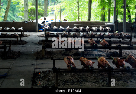 Schweine Braten auf einem Holzkohle bei einem kroatischen Picknick Stockfoto