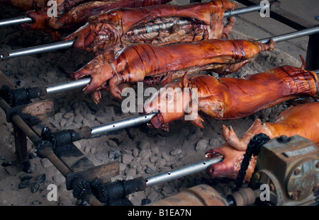 Schweine Braten auf einem Holzkohle bei einem kroatischen Picknick Stockfoto