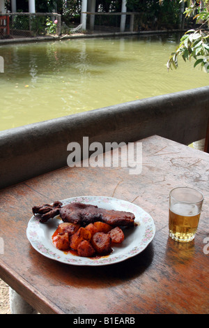 Picante de Cuy, einen würzigen cuy - aka Meerschweinchen- und Kartoffel Gericht im nördlichen Hochland von Peru mit Aji Paprika gewürzt. Stockfoto