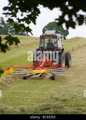 Farm Tractor Pulling einen Rotary-Rechen, während drehen und lüften lange Grass während der Heuernte in einem Feld von Cheshire Stockfoto