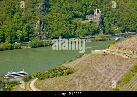 Assmannshausen Höllenberg Weinberg und Burg Rheinstein im mittleren Rheintal, Deutschland. Stockfoto