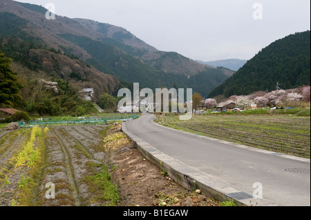 Ohara, einem Dorf in der Nähe von Kyoto, Japan. Kirschblüte im Frühling Stockfoto