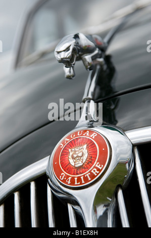 MK II-Jaguar-Maskottchen-Abzeichen Stockfoto