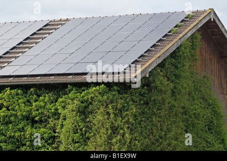 Solar-Panels ausgestattet, um das Dach einer Scheune Hof in Waging, Bayern, Deutschland. Stockfoto