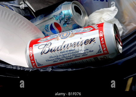 Ausrangierte Budweiser kann in Abfallbehälter, UK Stockfoto