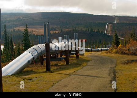 Alaska-Erdöl-Pipeline zwischen Prudhoe Bay und Valdez Stockfoto