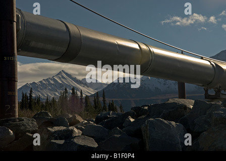 Alaska-Erdöl-Pipeline zwischen Prudhoe Bay und Valdez Stockfoto