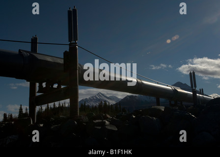 Alaska-Erdöl-Pipeline zwischen Prudhoe Bay und Valdez Stockfoto