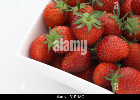 Nahaufnahme von frischen reifen roten Erdbeeren in einem weißen Keramikschale vor weißem Hintergrund Stockfoto