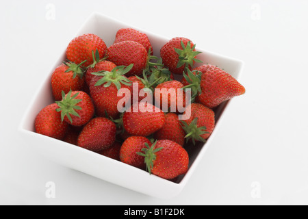 Nahaufnahme von frischen, reifen roten Erdbeeren in einer weißen Keramikschale / Schüssel vor weißem Hintergrund. VEREINIGTES KÖNIGREICH Stockfoto