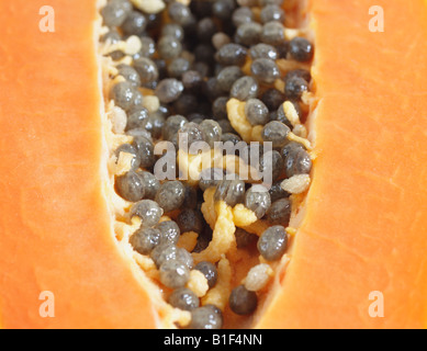 Schneiden Sie offene Hälfte der Papaya auf weißem Hintergrund im Studio Stockfoto