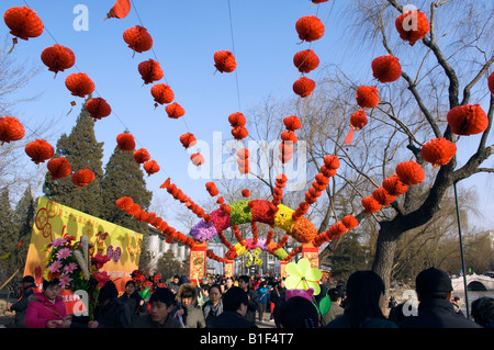 China Peking chinesische Neujahr Frühlingsfest Blume am Longtanhu Park Fair roten Lampions angezeigt Stockfoto