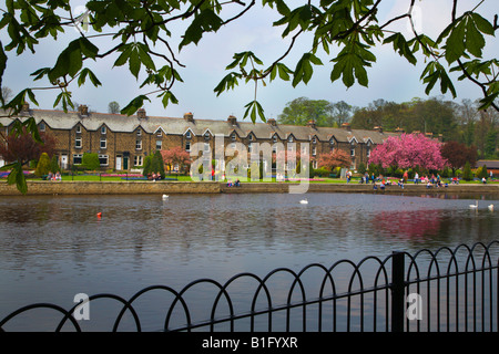 Wharfedale-Meadows-Park von Tittybottle Park Otley West Yorkshire Stockfoto