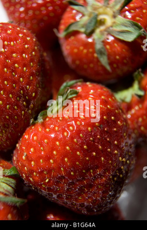 Nahaufnahme von mehreren roten Erdbeeren Stockfoto