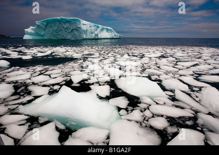 Zerbrochene Eis Fragmente von einem Eisberg Float auf der Oberfläche des Ozeans in der Nähe von Quirpon Island, Neufundland & Labrador, Kanada. Stockfoto