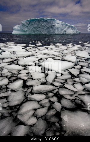 Zerbrochene Eis Fragmente von einem Eisberg Float auf der Oberfläche des Ozeans in der Nähe von Quirpon Island, Neufundland & Labrador, Kanada. Stockfoto