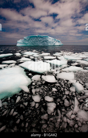 Zerbrochene Eis Fragmente von einem Eisberg Float auf der Oberfläche des Ozeans in der Nähe von Quirpon Island, Neufundland & Labrador, Kanada. Stockfoto